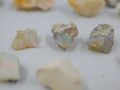 null 
Un lot de 24 pièces d'opales brutes, welo Etiopie, naturelles, non traitées. 

50gr...