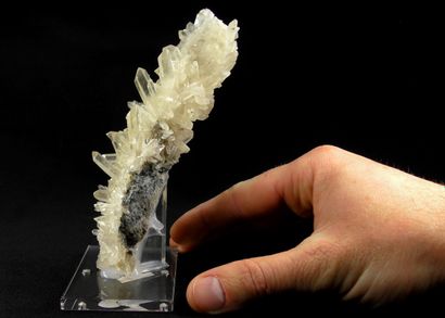 null Quartz. 

Stalagmite hérissée de beaux cristaux transparents.

Filon des Rivoirans,...