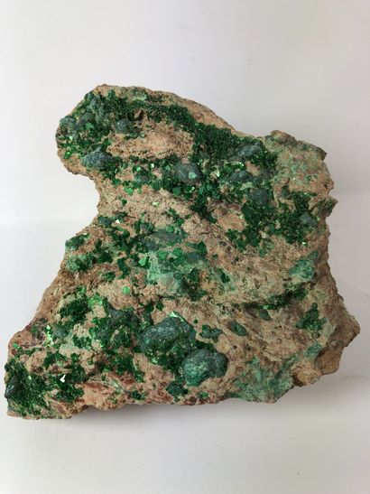 Torbernite.

Torbernite, un minéral d’uranium,...