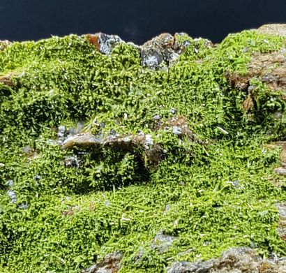 null Pyromorphite. 

Gazon d'aiguilles vert prairie provenant d'une localité rare...