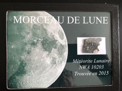 Météorite lunaire NWA 10203.

Météorite lunaire,...