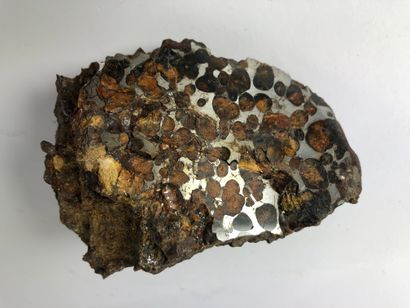 null Météorite : Pallasite.

Talon de la météorite de Séricho au Kenya, en fait une...