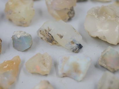 null 
Un lot de 45 pièces d'opales brutes, welo Etiopie, naturelles, non traitées. 

100gr...