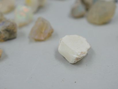 null 
Un lot de 28 pièces d'opales brutes, welo Etiopie, naturelles, non traitées.  

50gr...