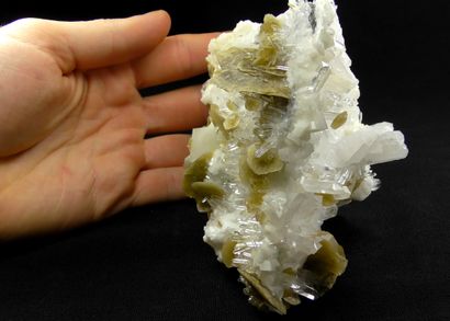 null Sidérite, dolomite. 

Superbe association de quartz, de rhomboèdres blancs nacrés...