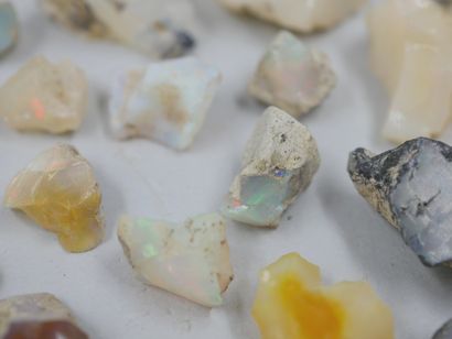 null 
Un lot de 45 pièces d'opales brutes, welo Etiopie, naturelles, non traitées. 

100gr...