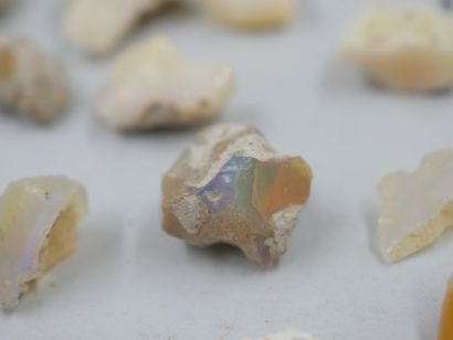 null 
Un lot de 23 pièces d'opales brutes, welo Etiopie, naturelles, non traitées. 

50gr...