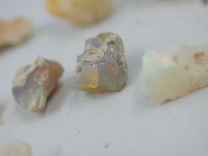 null 
Un lot de 24 pièces d'opales brutes, welo Etiopie, naturelles, non traitées. 

50gr...
