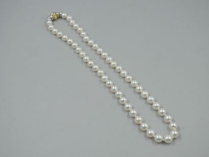 null Collier composé de perles de culture d'un diamètre de 8 à 8,5mm, fermoir en...
