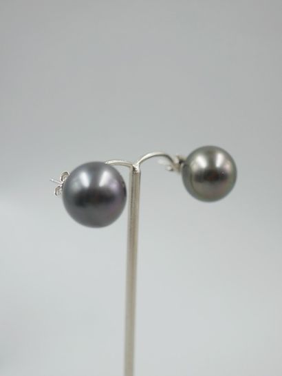 null Pair of 18k white gold earrings with Tahitian pearls, diameter 15mm. 

PB :...