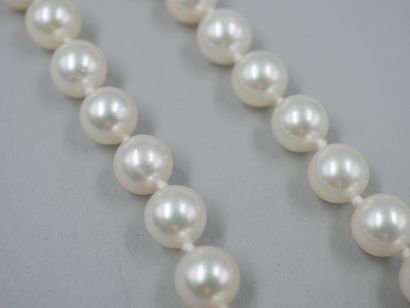 null Necklace composed of cultured pearls of a diameter of 8 to 8.5mm, clasp in white...