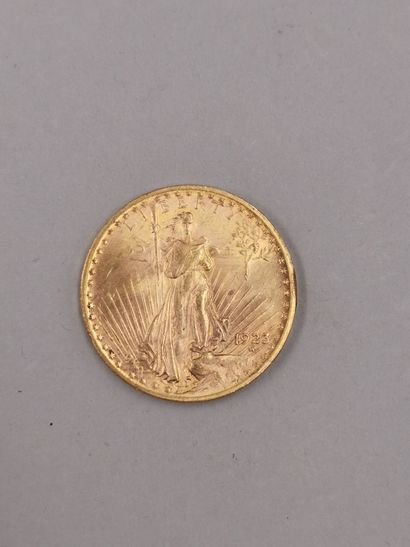 null Pièce en or de 20 dollars " Liberty Head - Eagle " avec devise . 1923. Saint...