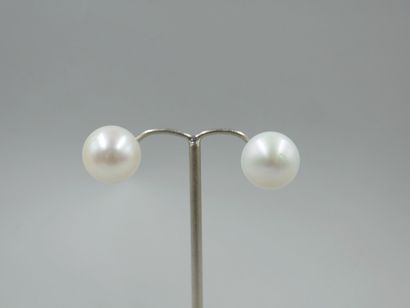 null Pair of 14k white gold earrings adorned with two white cultured pearls of 18mm...