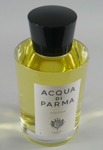 null ACQUA DI PARMA

Giant dummy bottle of decoration in glass, titled label.

Height...