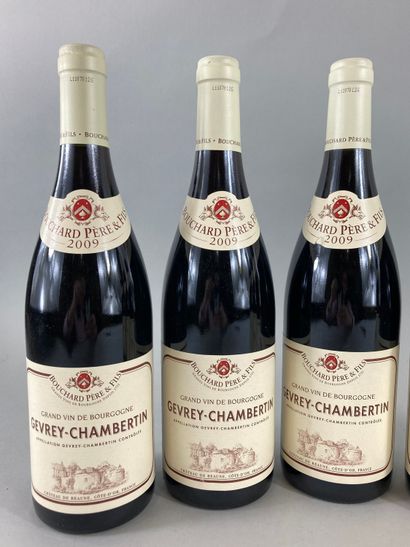 null Lot of 6 bottles of wine, including :

- 3 bottles Gevrey-Chambertin 2009, Bouchard...