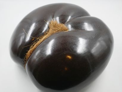 null Coco fesse or Coco de mer (Lodoicea maldivica)

Seed from a species of palm...