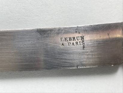 null LEBRUN. 

Set of 12 dessert knives 

Steel blade signed Lebrun in Paris and...