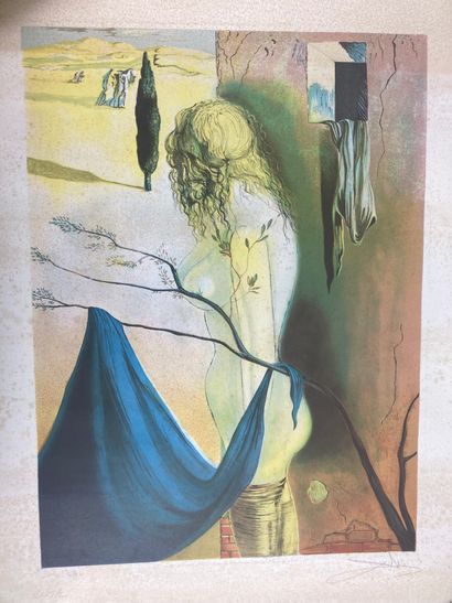 null Salvador DALI

(1904 - 1989)

"Woman in front of a ruin

Lithograph in colors...