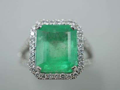 null Modernist ring in 18k white gold topped with a large emerald cut emerald of...