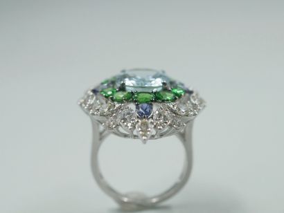 null Important 18k white gold Marquise ring centered with an oval aquamarine of about...