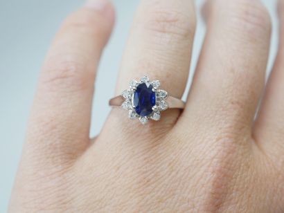 null Marguerite ring in 18k white gold centered with an oval sapphire without thermal...