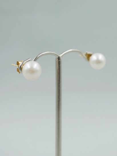 null Pair of earrings set with Akoya cultured pearls from Japan of about 8mm. 

PB...