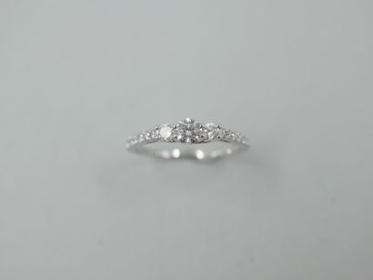 Trilogy ring in 18k white gold topped with...
