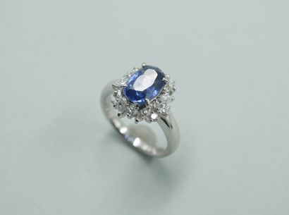 null 
A platinum Pompadour ring set with an oval sapphire of 2.80cts in a border...