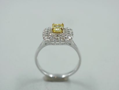 null 18k white gold square ring centered with a 0.50ct cushion-cut champagne diamond...