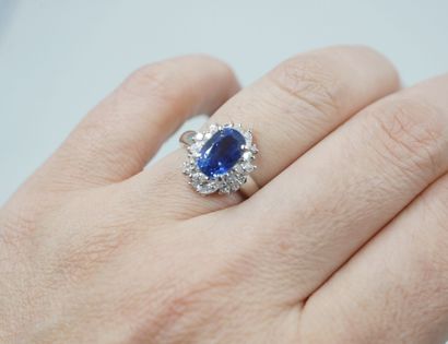 null 
A platinum Pompadour ring set with an oval sapphire of 2.80cts in a border...