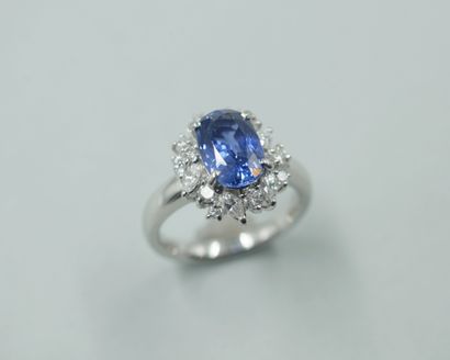 null 
A platinum Pompadour ring set with an oval sapphire of 2.80cts in a border...