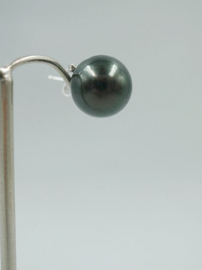 null Pair of 14k white gold earrings adorned with Tahitian pearls of about 12.5mm...