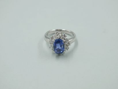 null 
A platinum Pompadour ring set with an oval sapphire of 2.80cts in a border...