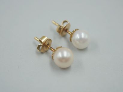 null 
Pair of 18k yellow gold earrings, each with a pearl on a flange setting.

PB...