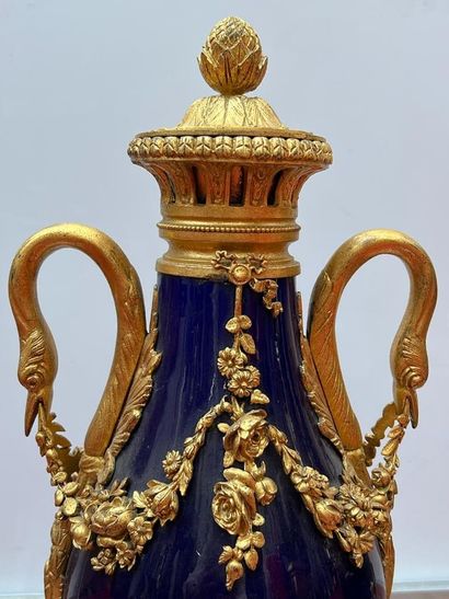 null 
Paire de vases en porcelaine de Sèvres ? montés en bronze doré sur piédouche....