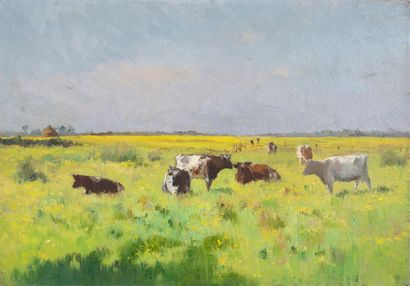  Maurice DAINVILLE (1856-1943) 
Vaches dans un champs au coucher de soleil 
Huile...