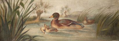 null École Française de la fin du XVIIIè siècle

Les canards 

Deux huiles sur toile...