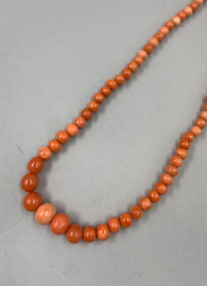null Necklace of coral pearls in fall, clasp handcuffs in yellow gold 18k. PB : 16...
