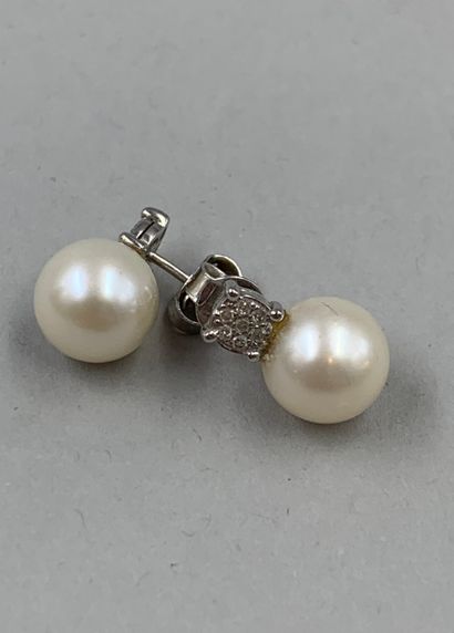 null Pair of 18k white gold stud earrings adorned with cultured pearls of about 8mm...