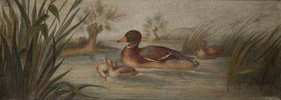 null French school of the end of the 18th century

The ducks 

Two oil on canvas,...