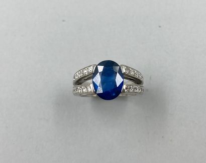 null 18k white gold ring set with a 3cts sapphire and two lines of diamonds.

PB...