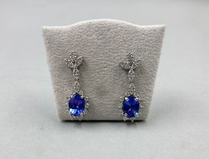 null Pair of 18k white gold earrings each adorned with an oval tanzanite in a brilliant...