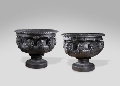 null Very important pair of large basins on pedestal reminiscent of the Warwick vase...
