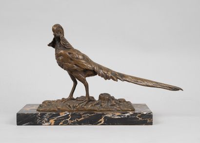 null Henri Emile Adrien TRODOUX (XIXè siècle)

Faisan doré

Épreuve en bronze à patine...