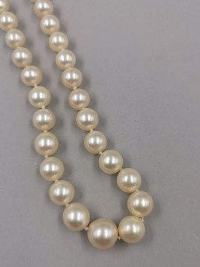 null Necklace of cultured pearls in fall, invisible clasp in 18k white gold. 

PB...