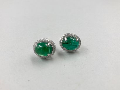 null Pair of 18k white gold ear studs, each with a cabochon of emerald in claw setting...
