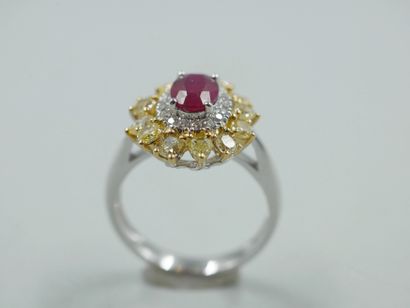 null Flower ring in 18k gold, centered on a 1ct oval ruby in a double border of brilliant-cut...