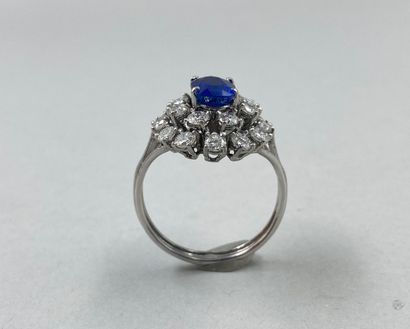 null 18k white gold ring set with an oval sapphire of about 2.50 cts in a double...