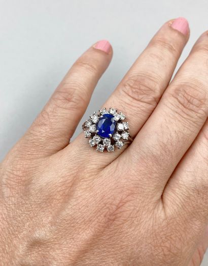 null 18k white gold ring set with an oval sapphire of about 2.50 cts in a double...