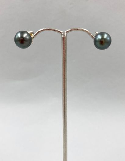 null Pair of 18k yellow gold earrings set with a Tahitian cultured pearl, diameter...